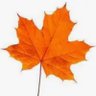 Profilbild von @Zer0Snips.bsky.social 🇨🇦