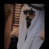 ‏〆‏ Mustafa kk profil fotoğrafı