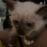 lili's profile picture
