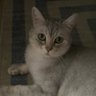 Esra kuzgun profil fotoğrafı