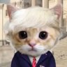 Knox's profile picture