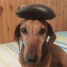 phantasia's profile picture