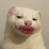 Profilbild von IconicHer