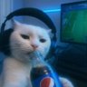 rak's profile picture