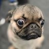 Rob's profile picture