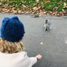 Shanny 🎗️🇬🇧🏴 profil fotoğrafı