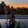 Kate's profile picture