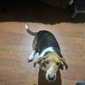 Jason Cook's profile picture