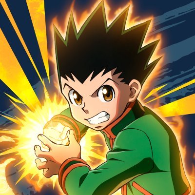 Survivor_HxH's profile picture