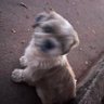 Jjunior_16 profil fotoğrafı