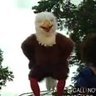 Profilbild von The Eagleman