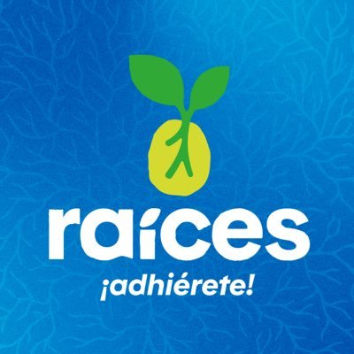 raicesguate's profile picture