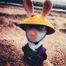 Profilbild von Peter