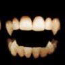 Profilbild von FL3SHH4RT | #FREESCHLEP