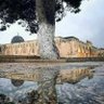 Фото профиля مشكاة