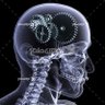 عمو سلیم's profile picture