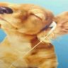 ok profil fotoğrafı