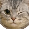 Profilbild von yuu