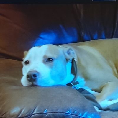 stathis's profile picture