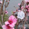 はな's profile picture