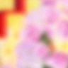 深みショコラ 的头像
