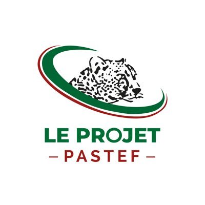leprojetpastef's profile picture