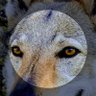 Lamberto1158's profile picture