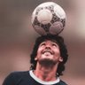 Talal FPL's profile picture