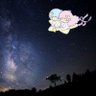 風吹く🐻✨✨✨🍀's profile picture