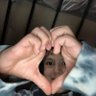 xfiles 的头像