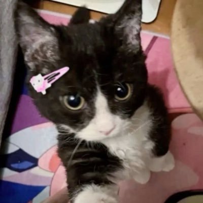 milong..'s profile picture