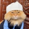 TARİCATÇI MIRNAVULLAH HOCA profil fotoğrafı