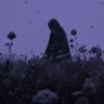 N's profile picture