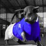 JWBLUE 的头像
