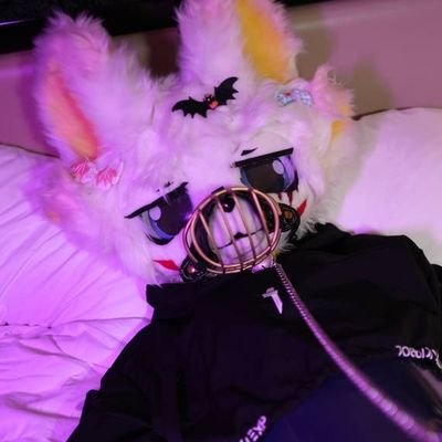 furrychen005's profile picture