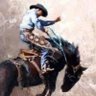 Rodney Hollingshead's profile picture
