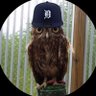Profilbild von (fighting) Irish owl