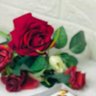 أمل الحياه 🌿🌸's profile picture