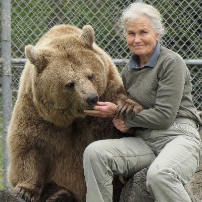 OrphanWildlife's profile picture