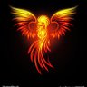 crypto-phoenix🔥🔥 的头像