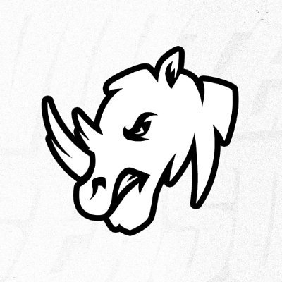 RhynoEsports_'s profile picture