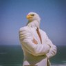 Profilbild von jimothy eagle