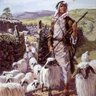 Фото профиля Shepherd