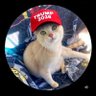 CVMA Capt's profile picture
