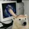 Profilbild von weenuk