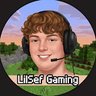 LilSef Gaming's profile picture