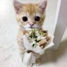 XOXO 的头像
