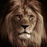MAGA Lioness's profile picture