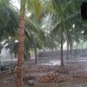Фото профиля காங்கேயத்தான்