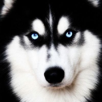 ObaEdo_1's profile picture